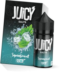 Spearmint de Juicy Salt